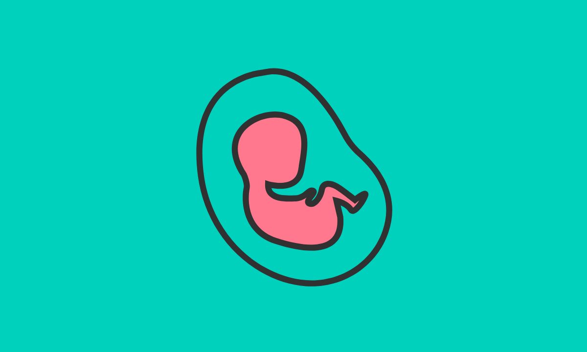 افرازات الحمل
