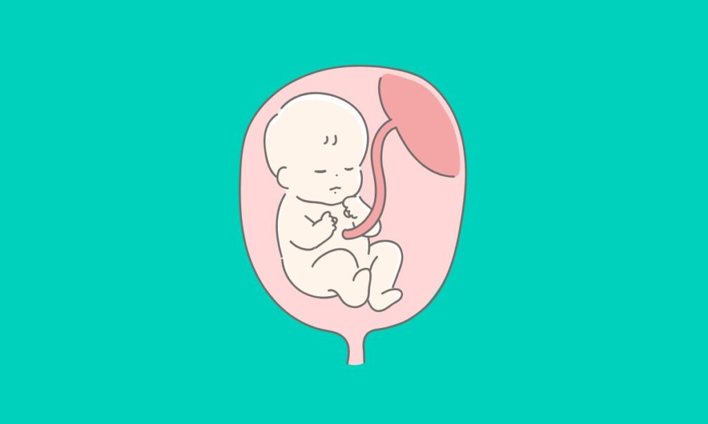ما معنى ظهور خط باهت وخط داكن في اختبار الحمل المنزلي؟