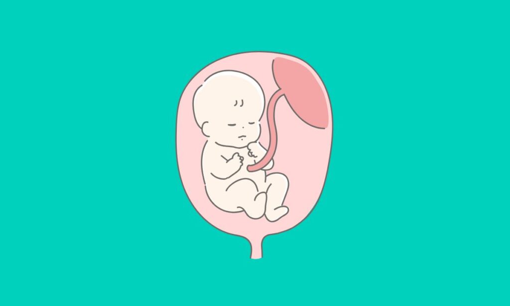 ماهي أعراض التسمم الغذائي للحامل؟